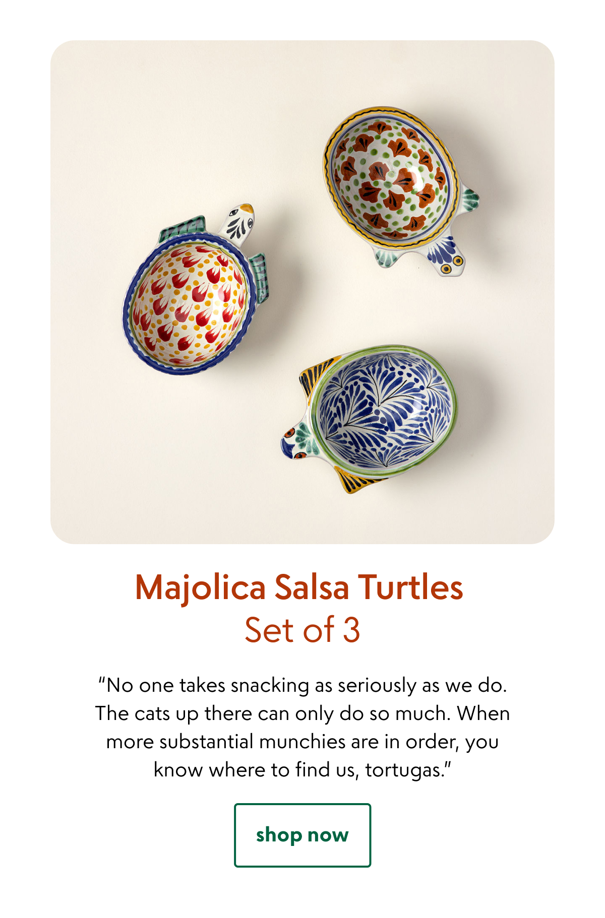 shop now