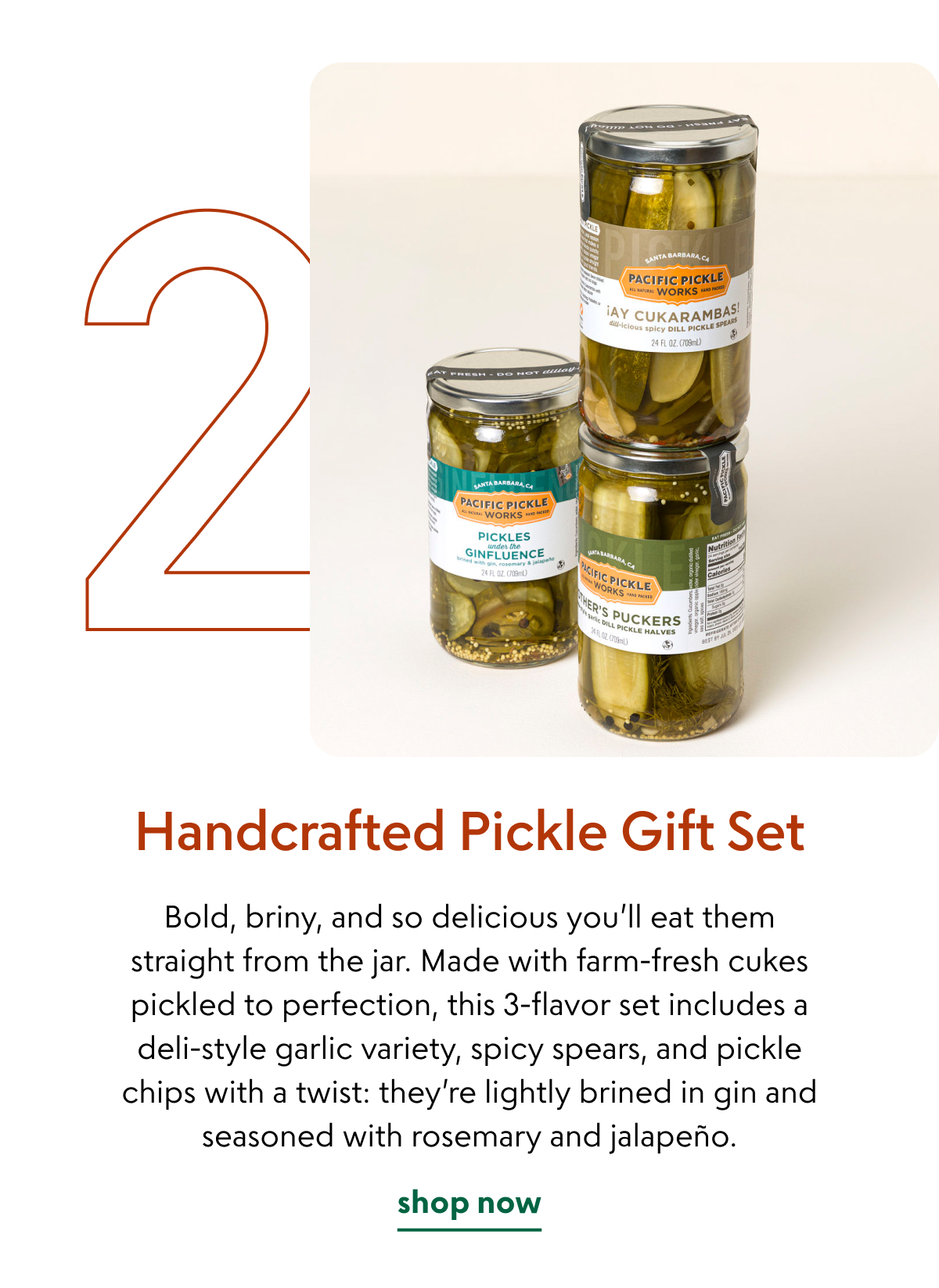 Handcrafted Pickle Gift Set