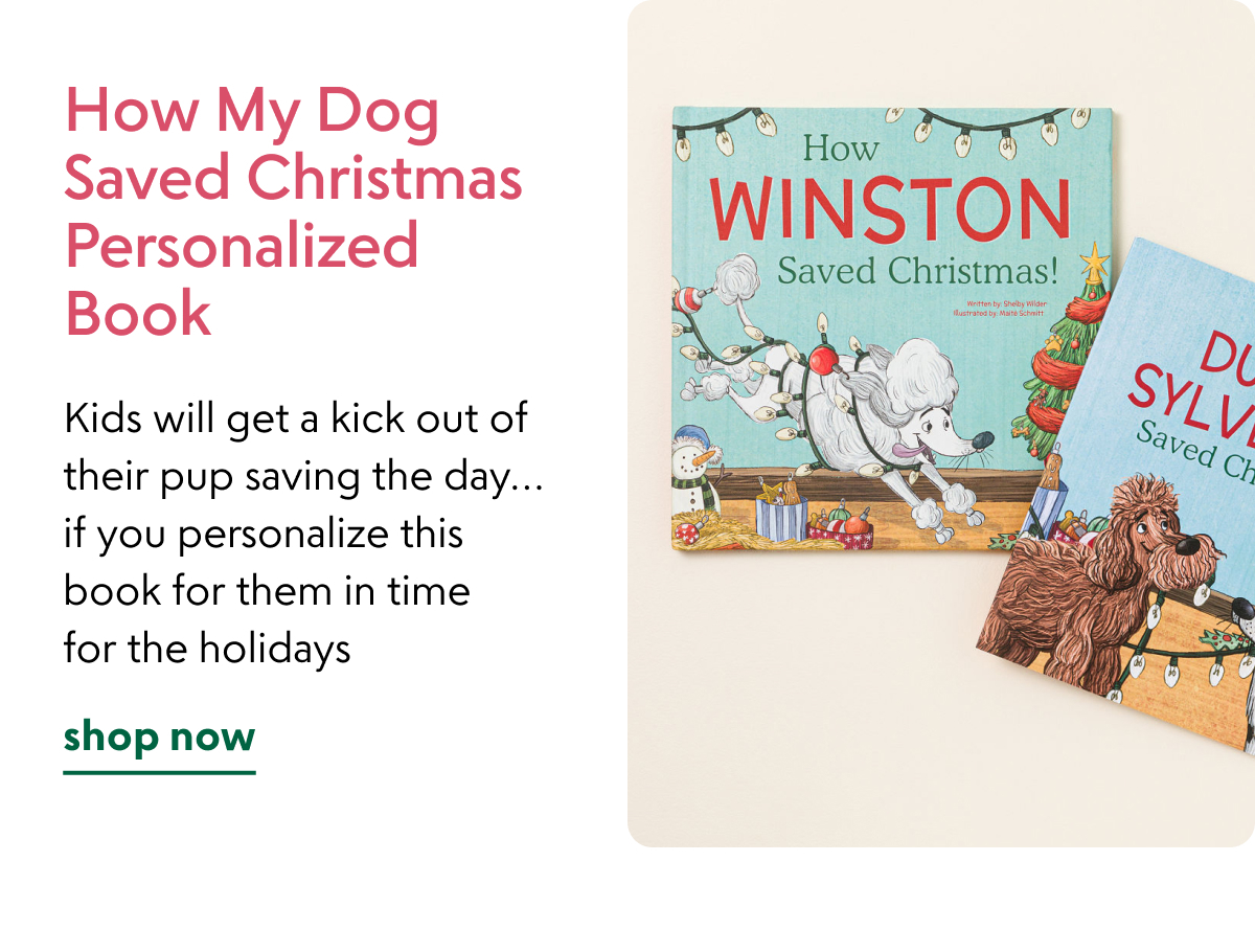 How My Dog Saved Christmas Personalized Book