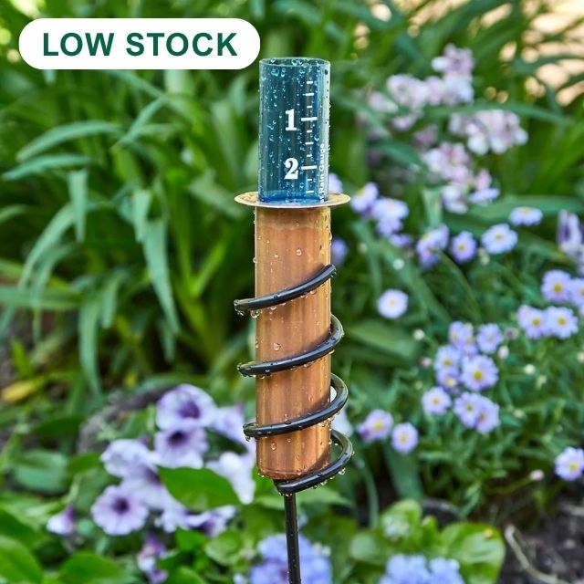 Copper Rain Gauge