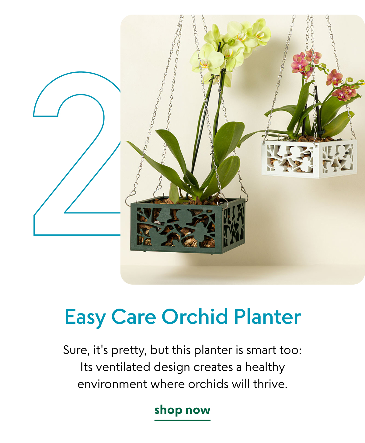 easy-care-orchid-planter