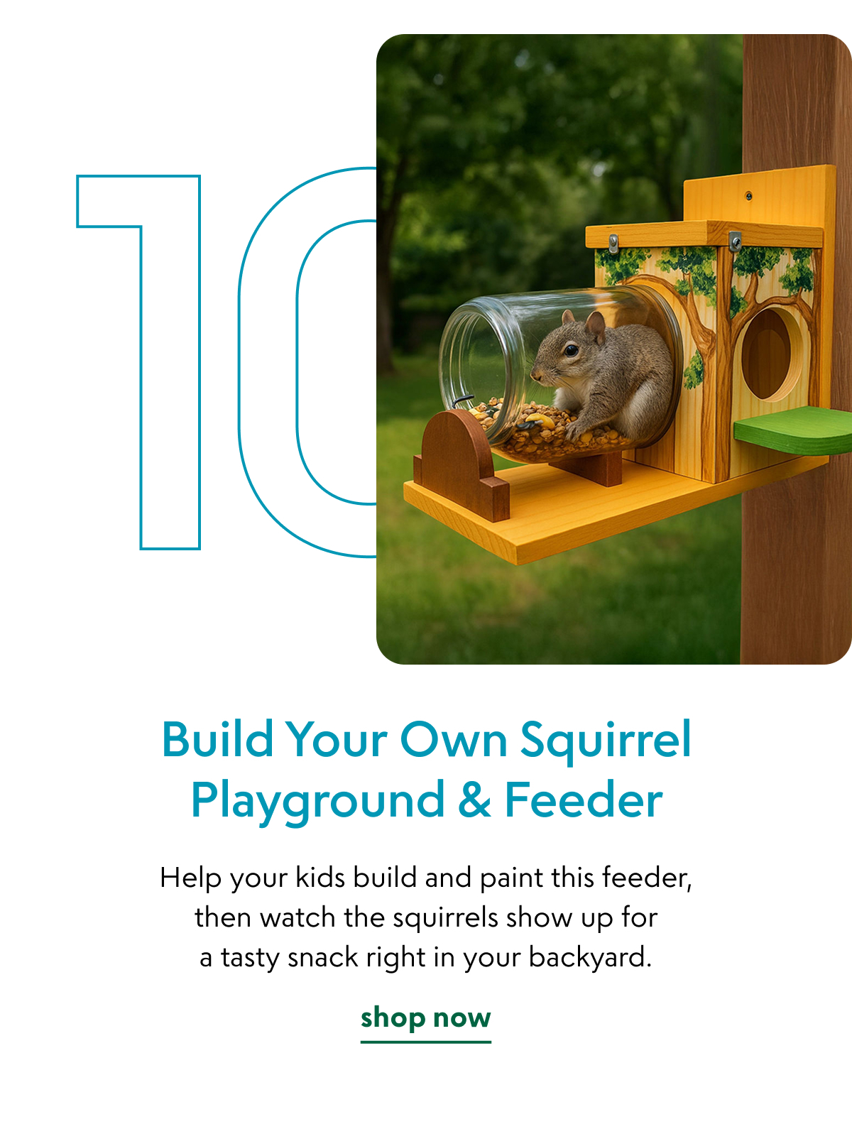 build-your-own-squirrel-playground-feeder