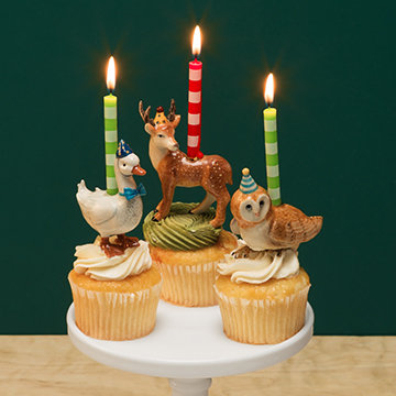 birthday