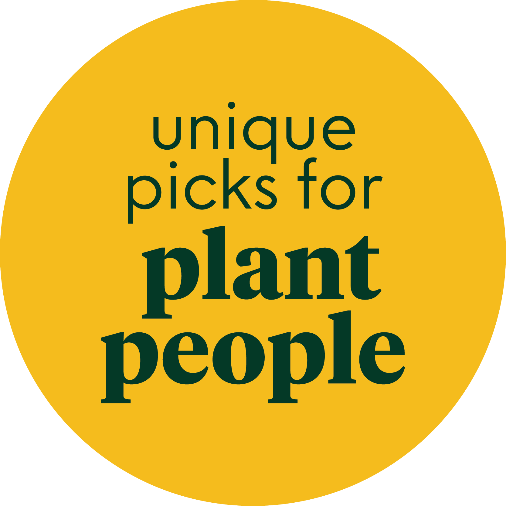 Unique picks for plant people