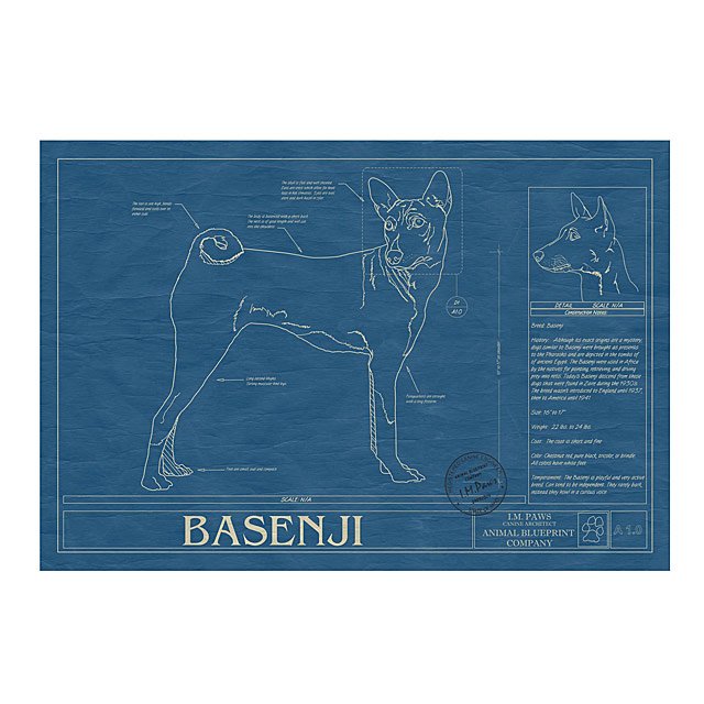 Dog Blueprints Framed Wall Art, Dog Breeds Goods