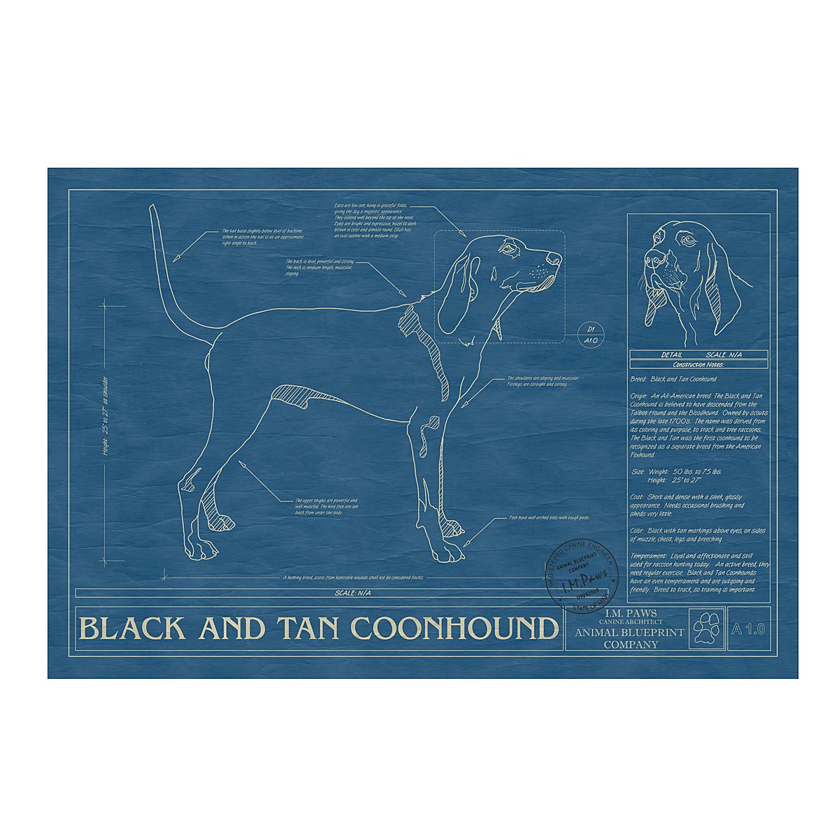 Dog Blueprints - Black and Tan Coonhound