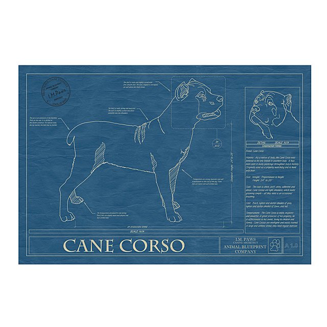 Dog Blueprints Framed Wall Art, Dog Breeds Goods