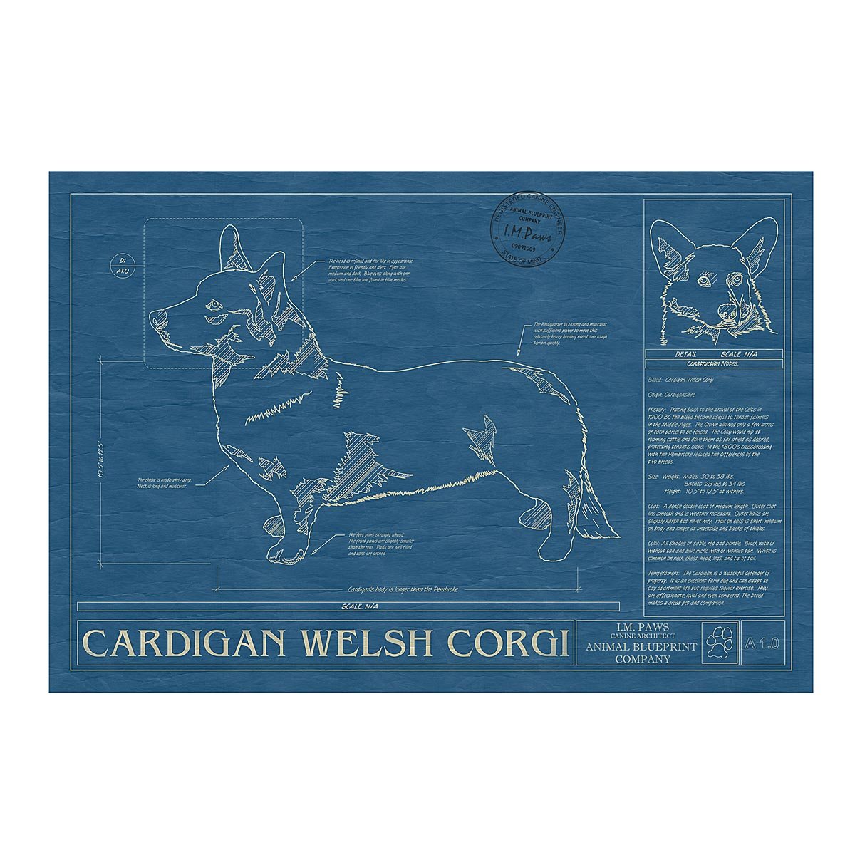 Dog Blueprints - Cardigan Welsh Corgi