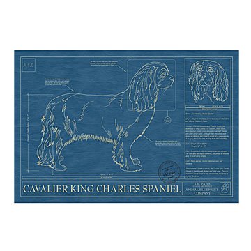 Dog Blueprints