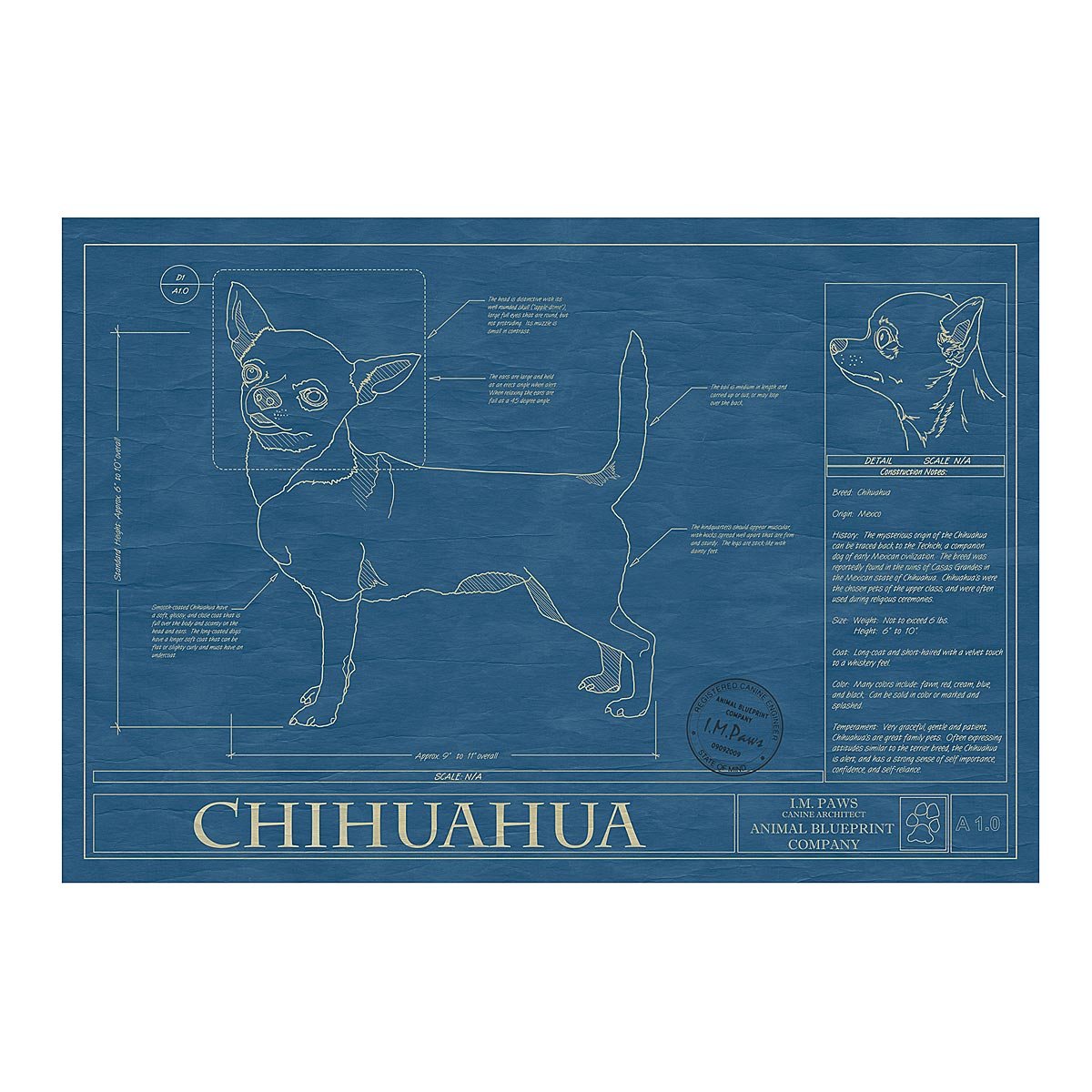 Dog Blueprints - Chihuahua