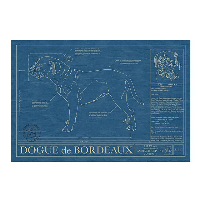 Dog Blueprints Framed Wall Art, Dog Breeds Goods
