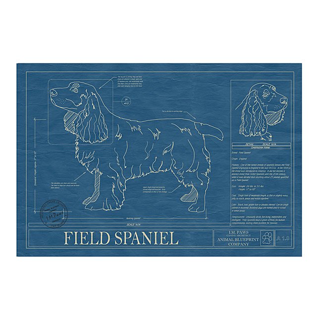 Dog Blueprints Framed Wall Art, Dog Breeds Goods