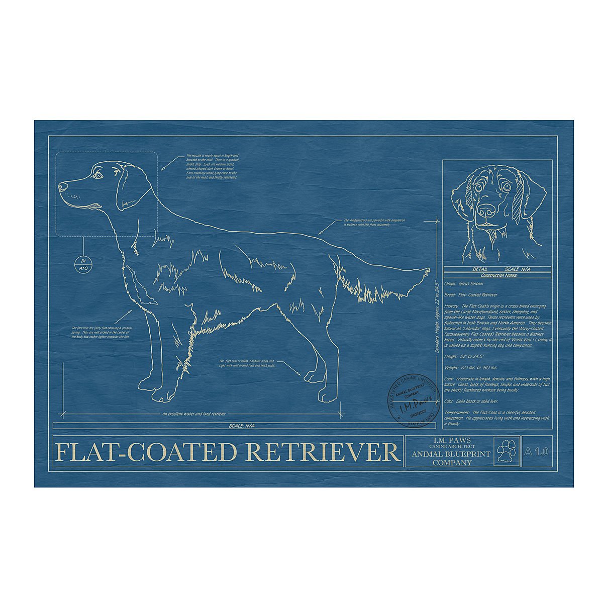 Dog Blueprints - Flat-Coated Retriever