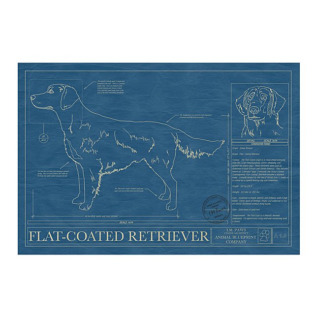 Dog Blueprints Framed Wall Art, Dog Breeds Goods
