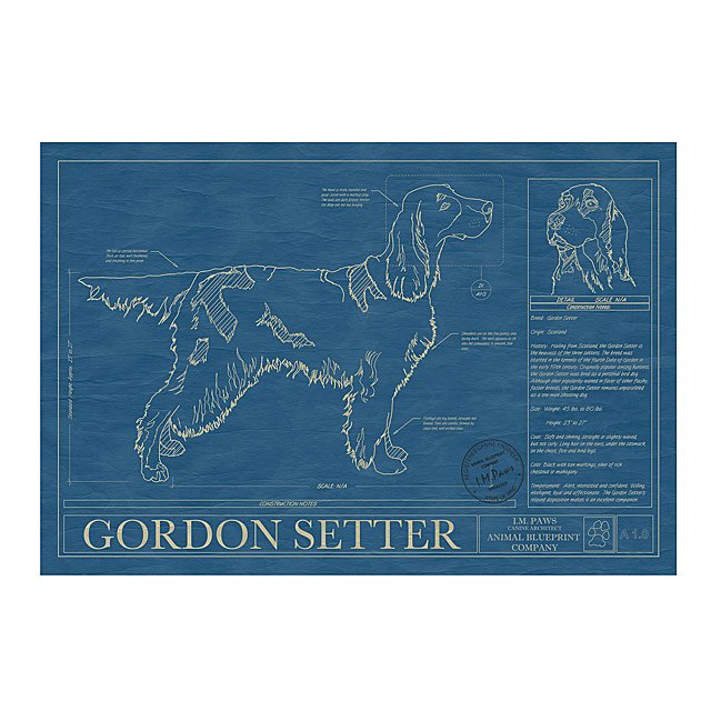 Dog Blueprints Framed Wall Art, Dog Breeds Goods