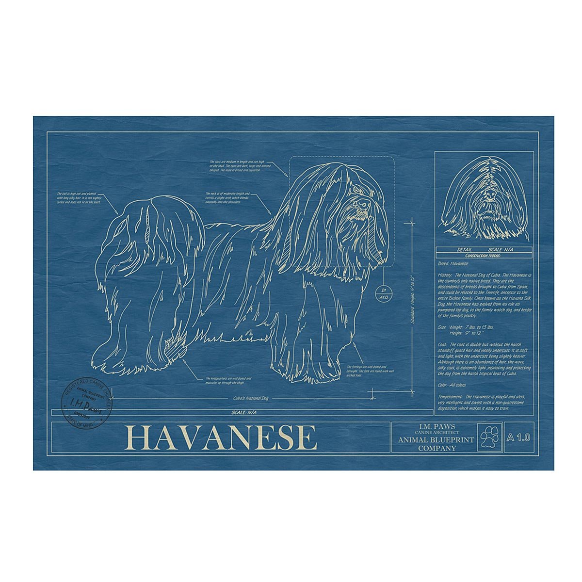 Dog Blueprints - Havanese