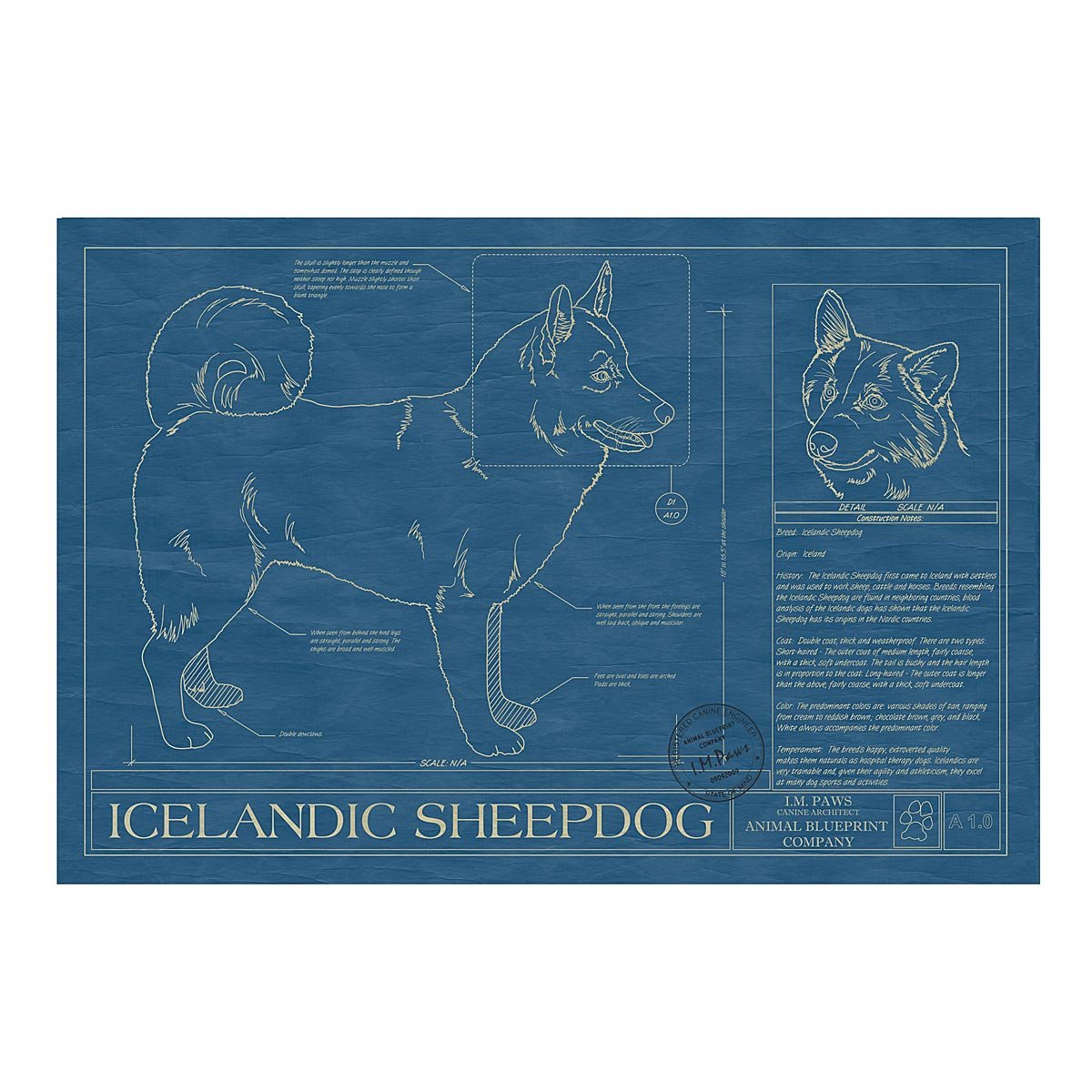 Dog Blueprints - Icelandic Sheepdog