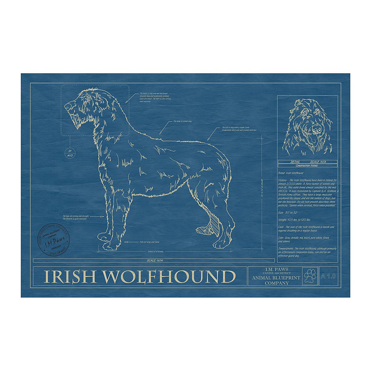 Dog Blueprints - Irish Wolfhound