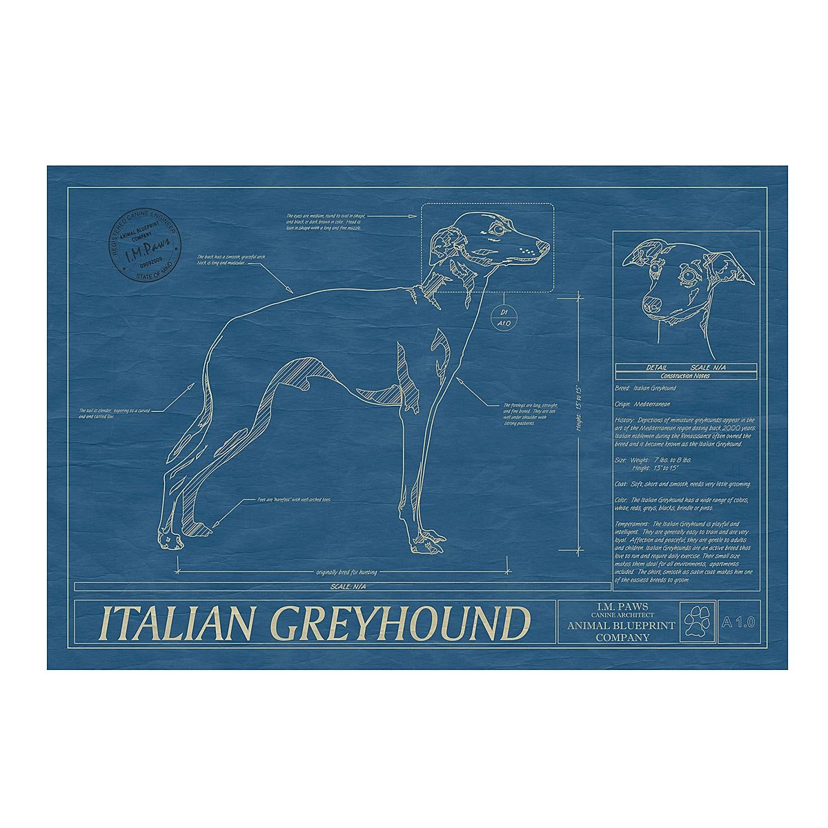 Dog Blueprints - Italian Greyhound
