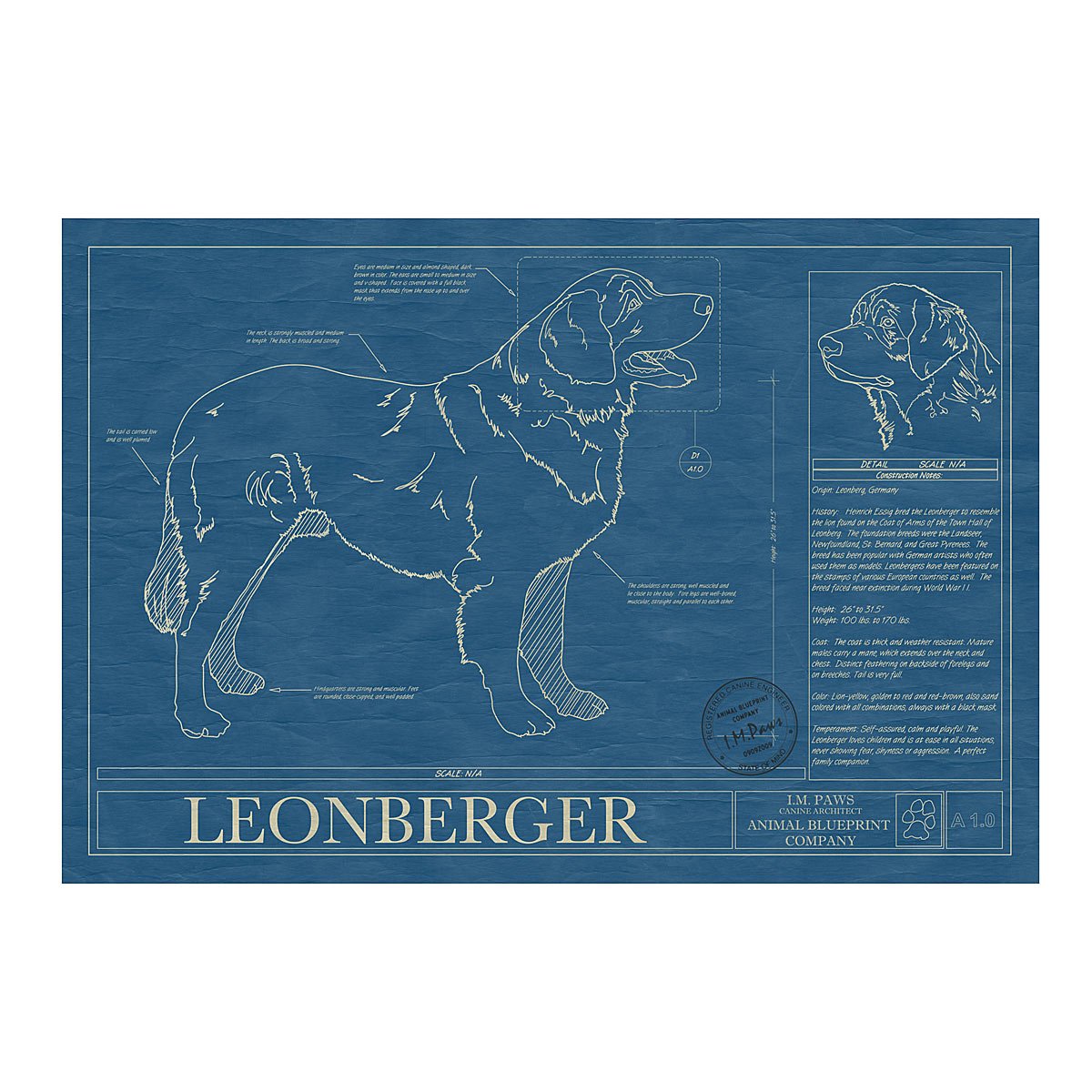 Dog Blueprints - Leonberger