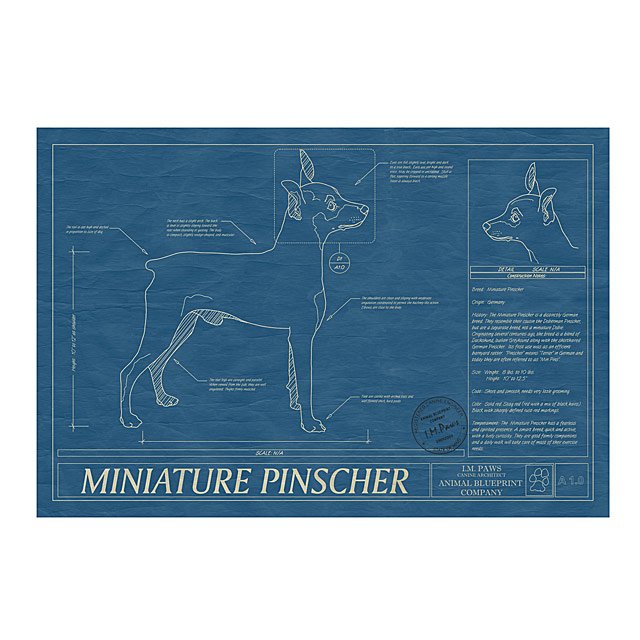 Dog Blueprints Framed Wall Art, Dog Breeds Goods