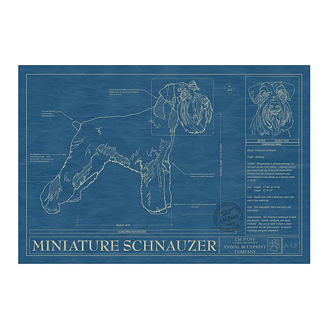 Dog Blueprints Framed Wall Art, Dog Breeds Goods