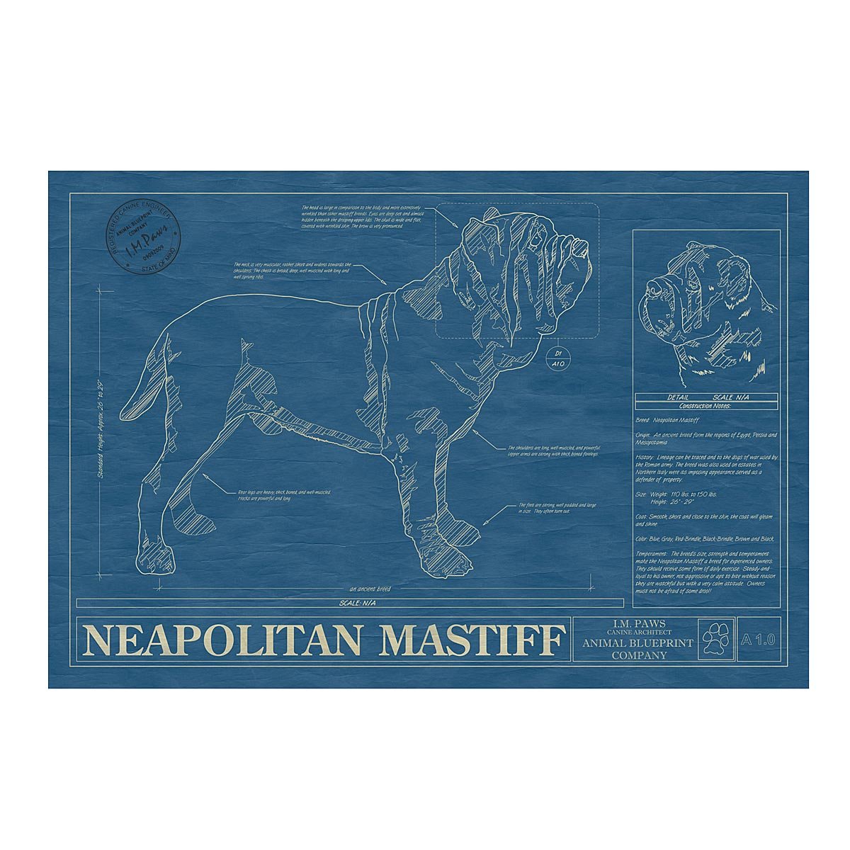 Dog Blueprints - Neapolitan Mastiff