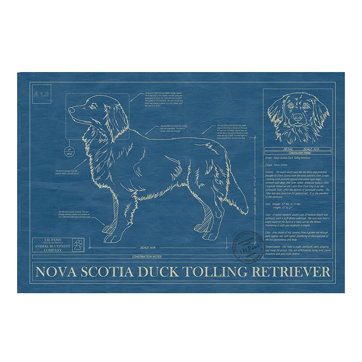 Dog Blueprints - Nova Scotia Duck Tolling Retriever