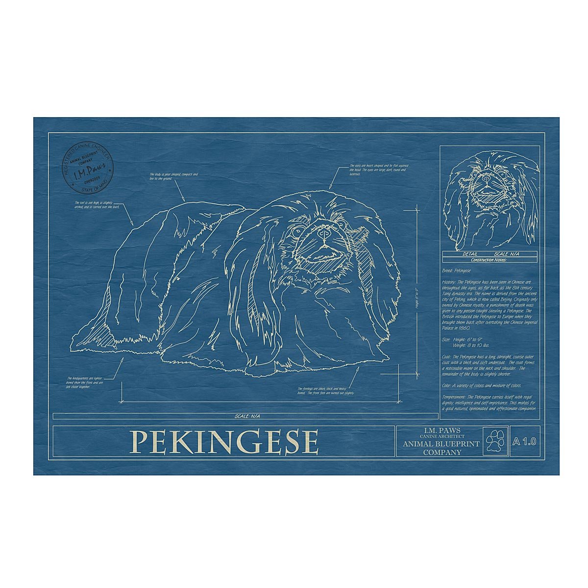 Dog Blueprints - Pekingese