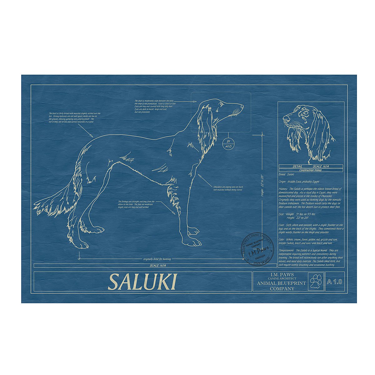 Dog Blueprints - Saluki