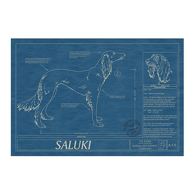 Dog Blueprints Framed Wall Art, Dog Breeds Goods