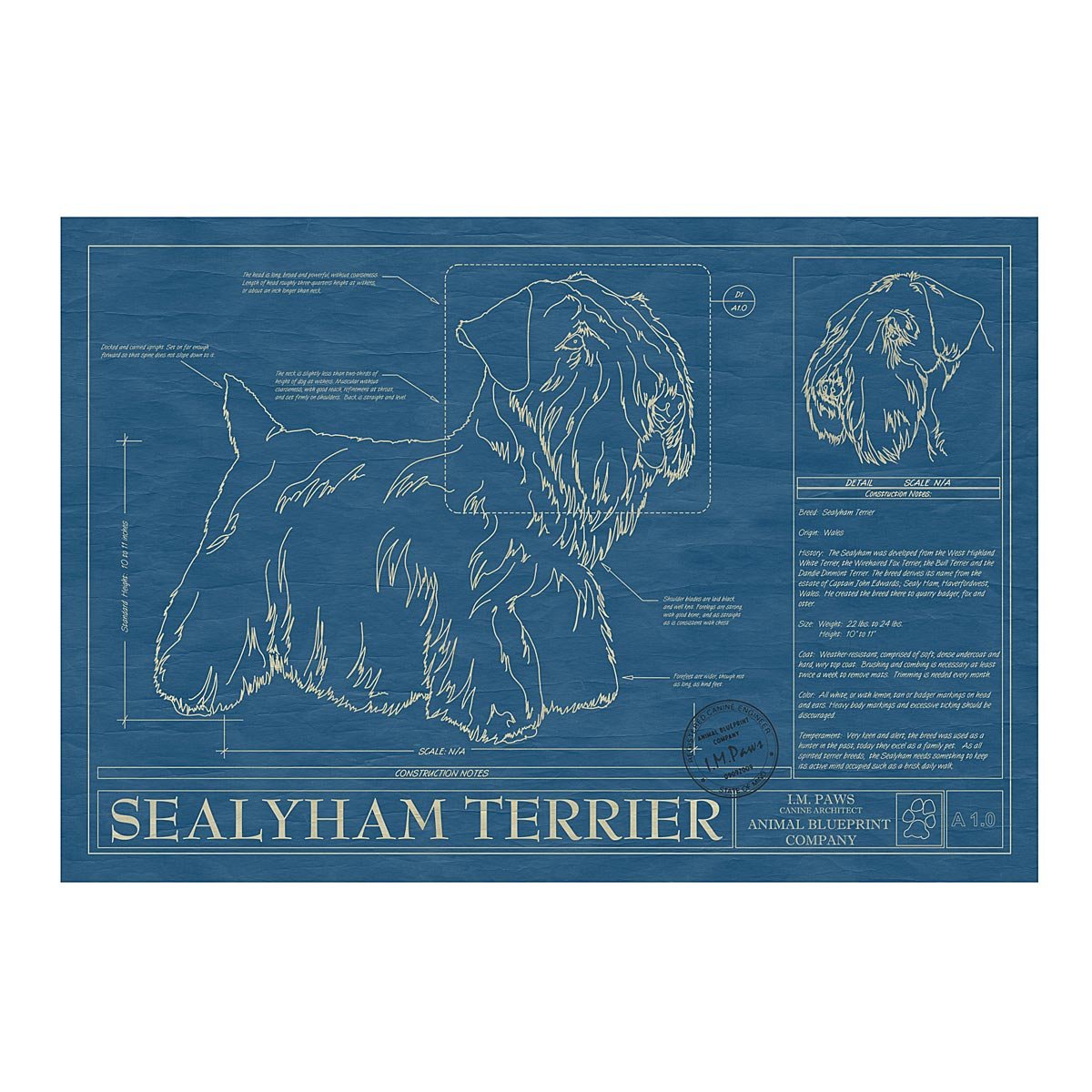 Dog Blueprints - Sealyham Terrier