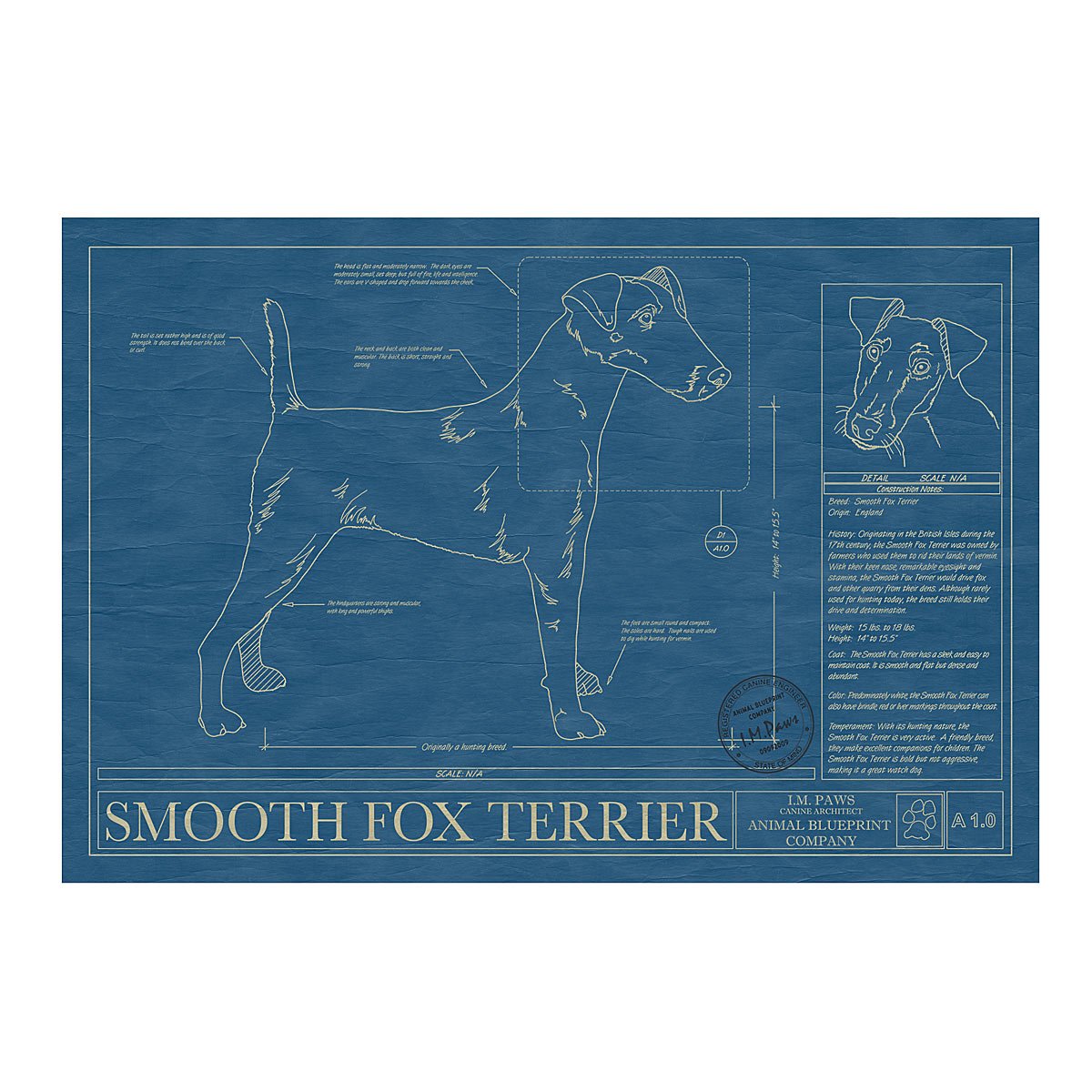 Dog Blueprints - Smooth Fox Terrier