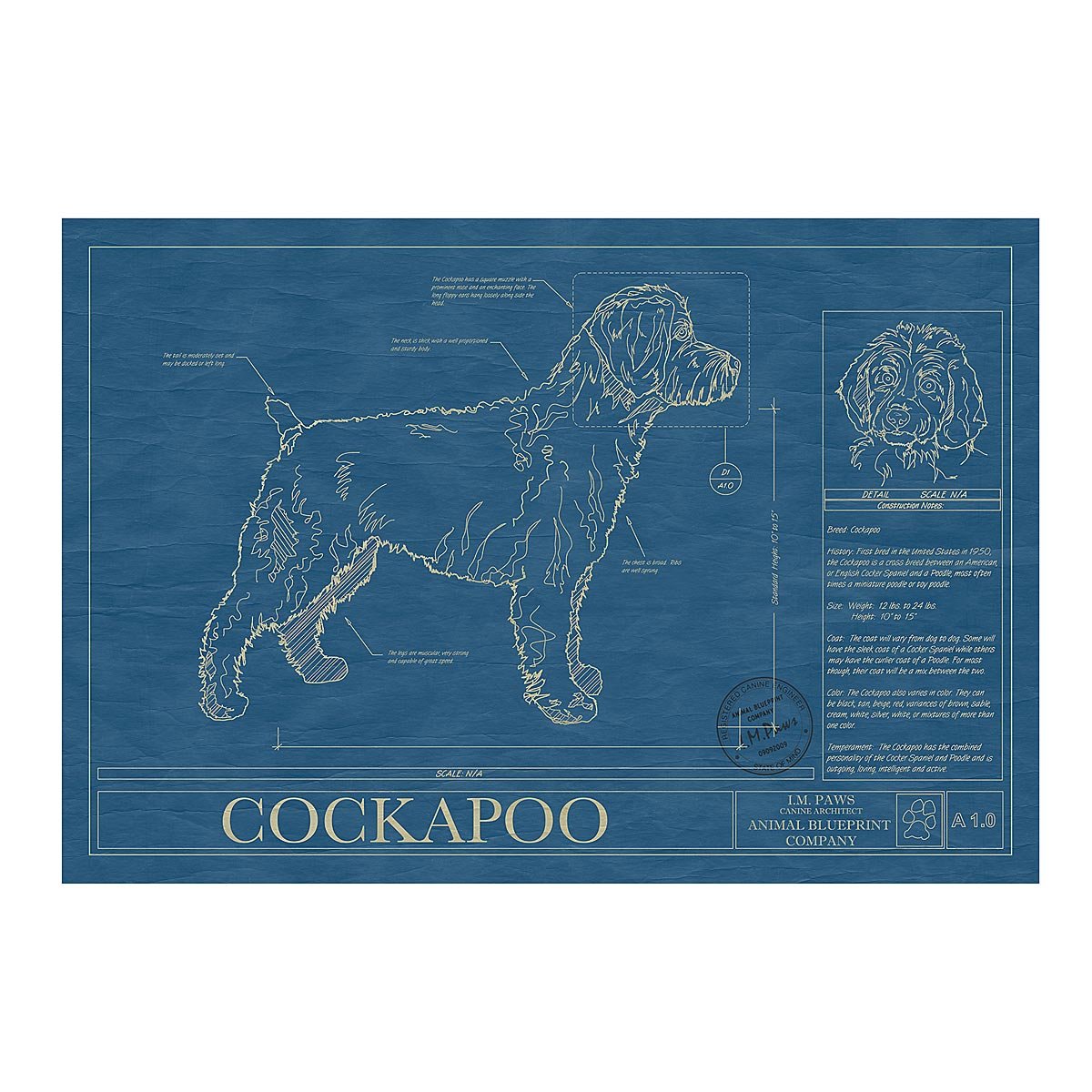 Dog Blueprints - Cockapoo