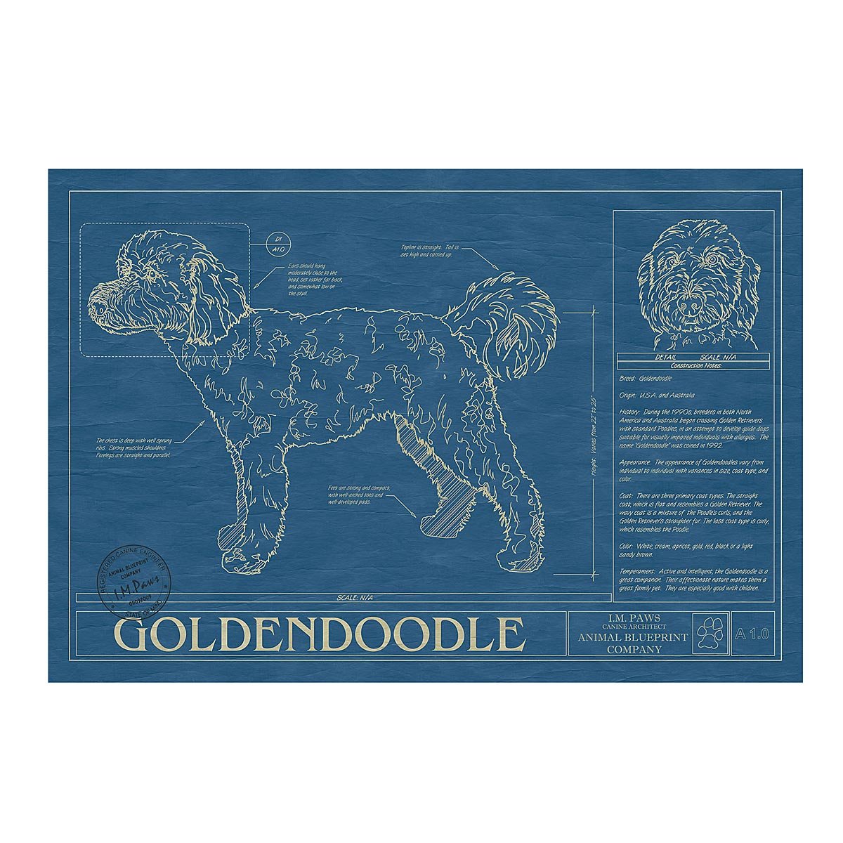 Dog Blueprints - Goldendoodle