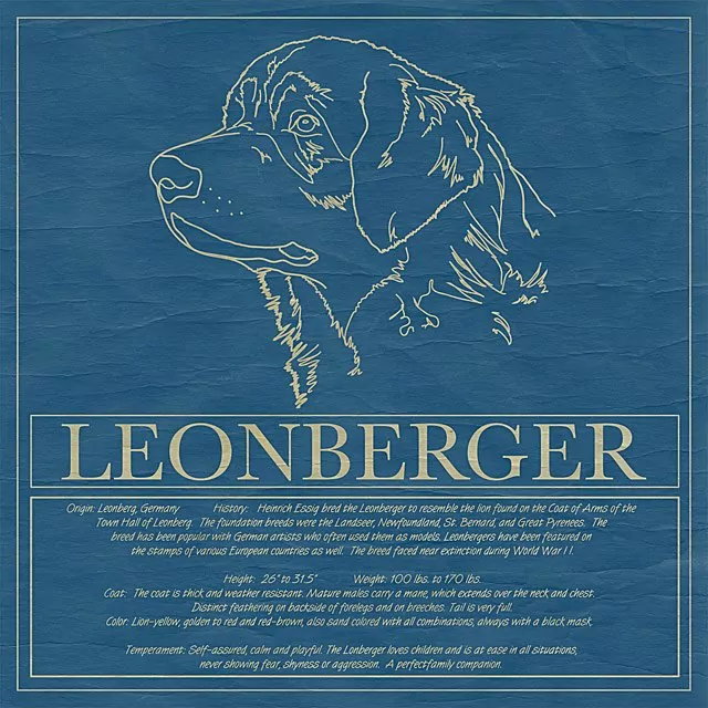 Do Great Pyrenees Have bed Feet