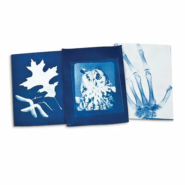 Three blue and white solar prints