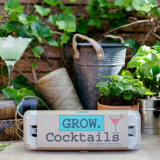Uncommon Goods Indoor Herb Garden Kit