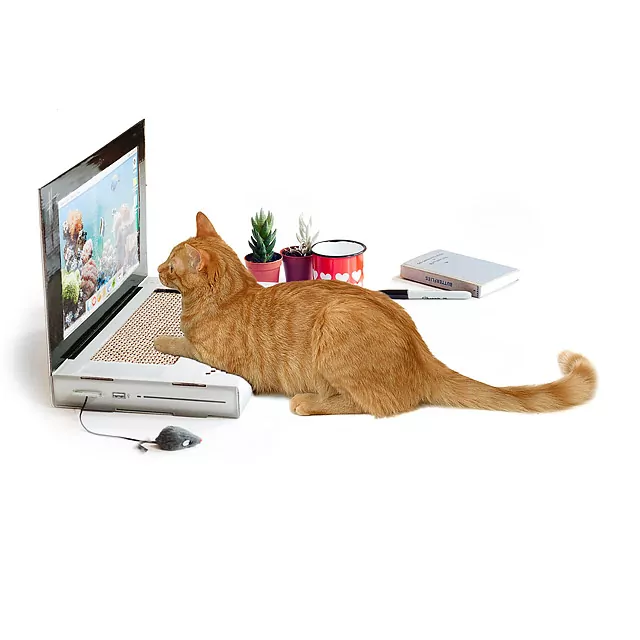 Uncommon Goods | Laptop Cat Scratching Pad | Cat Computer, Laptop for Cats