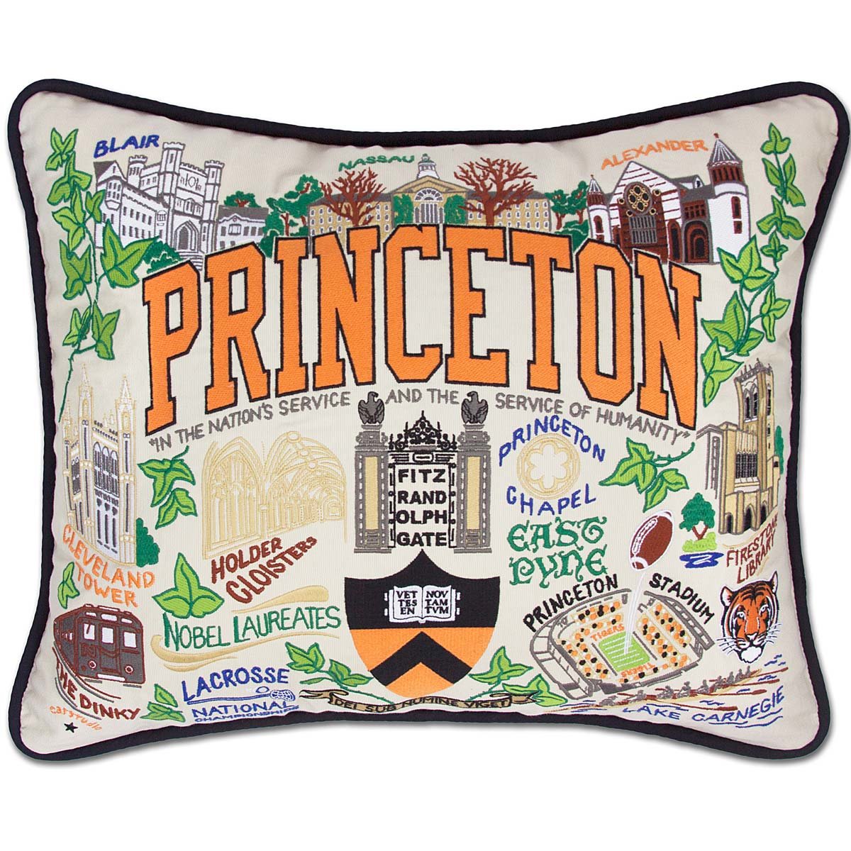 Embroidered College Pillows - Princeton University