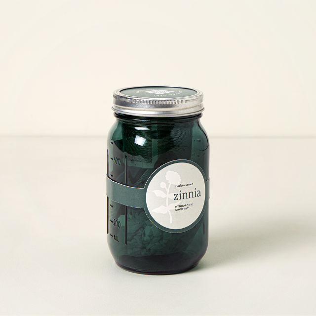 Goods Mason Jar Indoor Flower Garden window garden