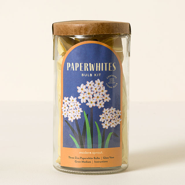 Paperwhite Winter Bulb Kit