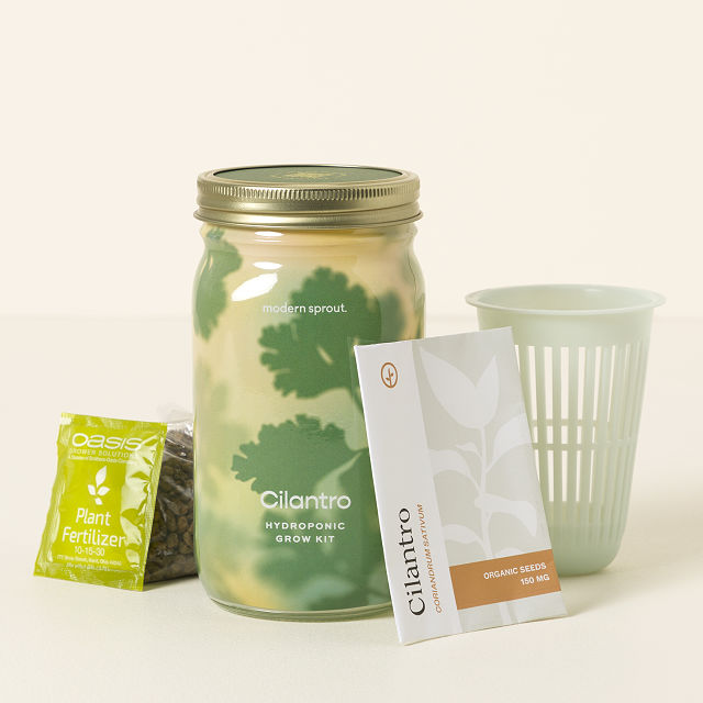 Uncommon Goods | Organic Cilantro - Mason Jar Indoor Herb Garden