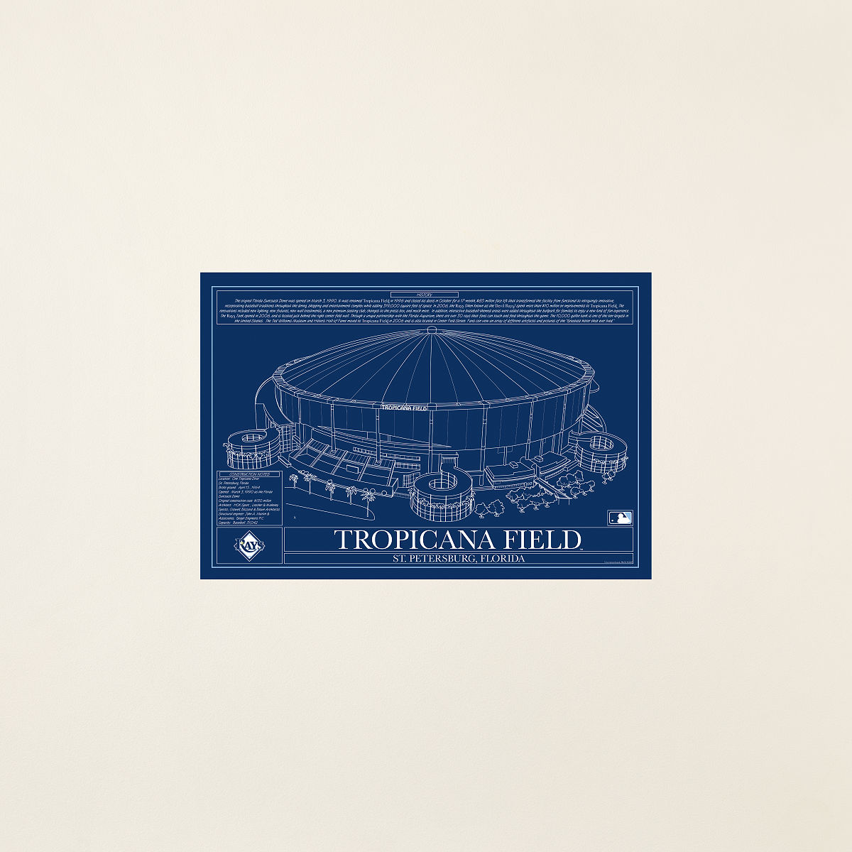 MLB Stadium Blueprints - Team Colors - Tampa Bay Rays - Unframed