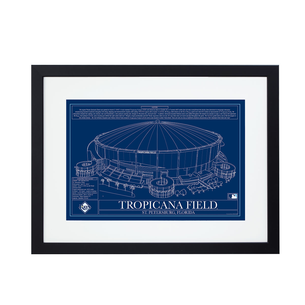 Large MLB Stadium Blueprints - Team Colors - Tampa Bay Rays - Framed