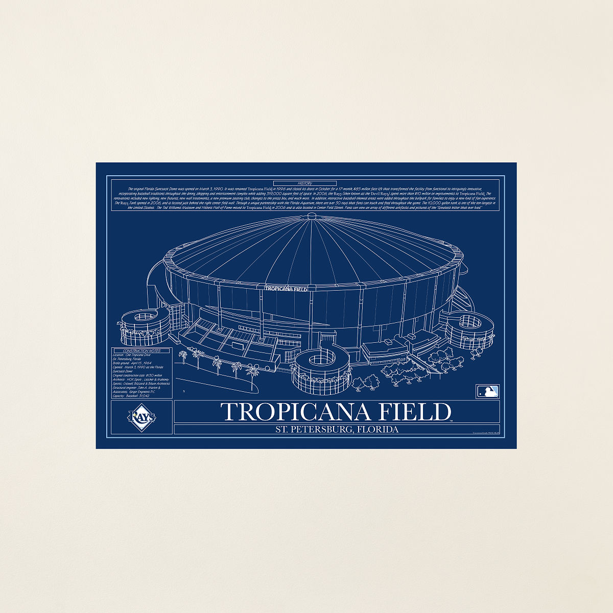 Large MLB Stadium Blueprints - Team Colors - Tampa Bay Rays - Unframed
