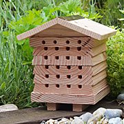 Solitary Bee Hive