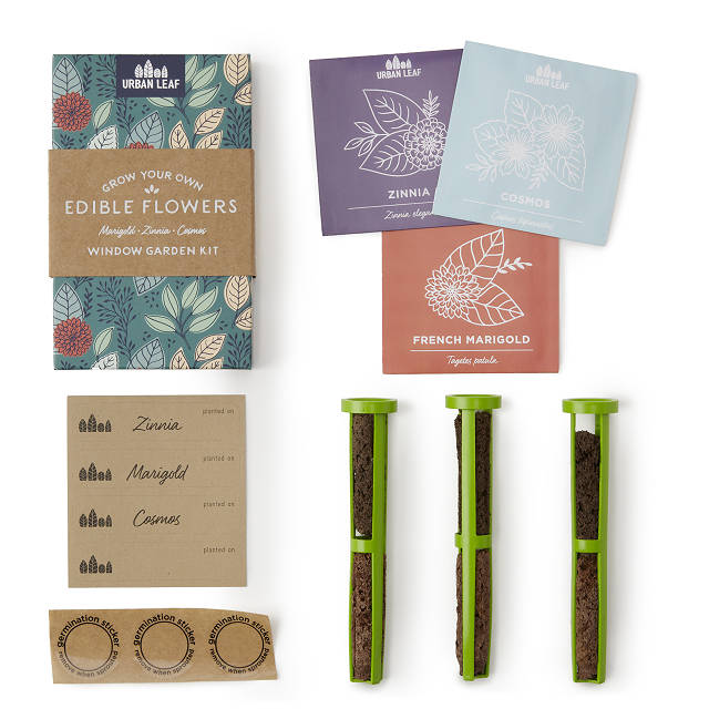 Bottle Stopper Garden Kit Indoor Garden Kit, Gifts for Foodies