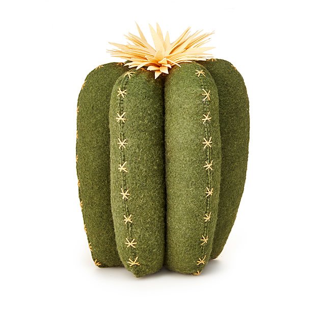 Goods Cactus Bloom Throw Pillows Fun Home Decor; Handmade