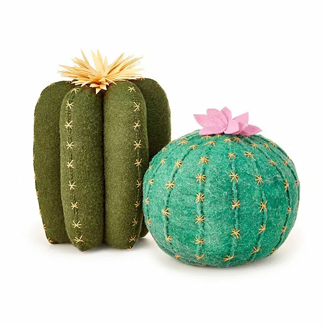 Cactus Bloom Throw Pillows from Uncommon Goods